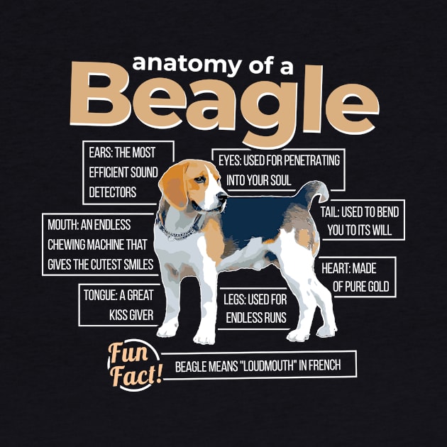 Anatomy of a Beagle by dan89